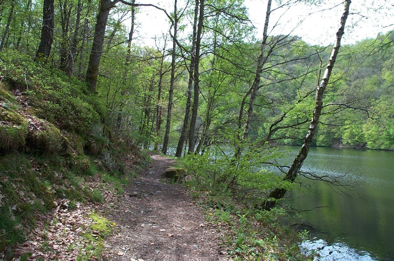 Holiday Home A Pas De Loup La-Roche-en-Ardenne Esterno foto